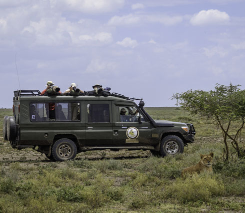 Serengeti-2018-03-248